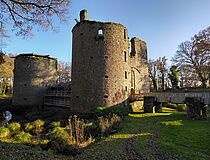 Travaux au château de novembre 2019 à fin février 2020 - Agrandir l'image (fenêtre modale)