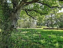 Visite "Faune et flore" - Agrandir l'image (fenêtre modale)